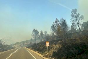 L'incendi forestal de Benasau es va iniciar per una espurna d'una radial