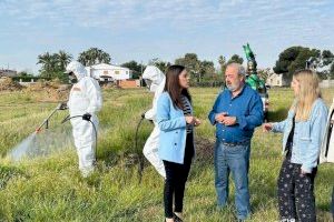 La regidoria de Salut Pública contínua les labors de polvorització contra els mosquits en les zones d'aigües estancades de la ciutat