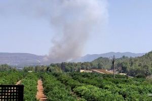 Els bombers estabilitzen l'incendi forestal de Barxeta