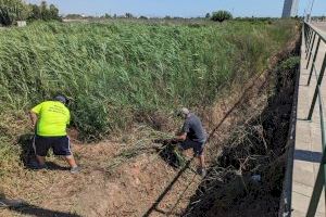 Moncofa emplea 32 efectivos para mantener y limpiar el entorno natural