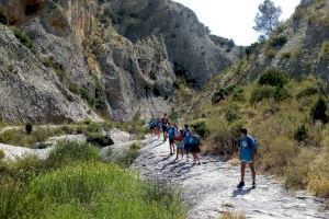 Petrer activa el programa de voluntariado para la prevención de incendios forestales la segunda quincena del mes de agosto