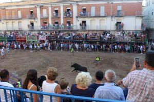 Revolución digital en las fiestas de San Bartomeu de Nules: inscripciones en línea para todos los actos