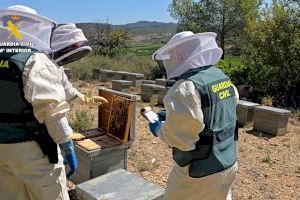 Onze investigats a València per vendre mel amb pesticides xinesos com si fora ecològica