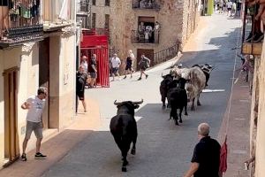 Las exhibiciones taurinas abren el programa de festejos en Les Useres