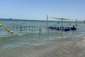 Las playas accesibles de Santa Pola registran más de 5.300 usuarios durante el mes de julio