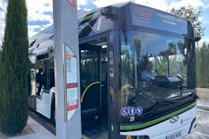 Elche pone en marcha por primera vez autobuses nocturnos gratuitos en fiestas