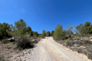 Medio Ambiente recibe una ayuda de 8.000 euros destinada a las actividades de voluntariado ambiental en materia de prevención de incendios