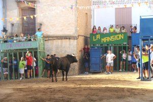 Araia afronta el segundo fin de semana de fiestas con  ‘bous al carrer’, música y actos infantiles