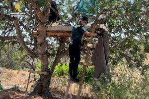 En el corazón de un barranco de Alcalá de Xivert: descubren una plantación de marihuana de 3.000 plantas