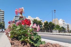 El puente de Altamira de Elche recupera las tradicionales jardineras