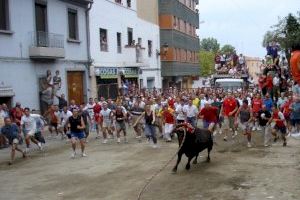 L'alcaldessa de Xiva no perd l'esperança de salvar “el Torico de la Cuerda 2024”