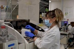 El Instituto de Medicina Legal y Ciencias Forenses de València realizó 1.838 autopsias en 2023