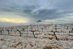 Tota la Comunitat Valenciana en alerta per graníssol i fort vent