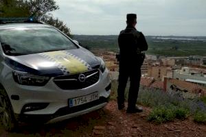 Alerta en un poble de Castelló en escapar-se un bou després d'un robatori en una finca