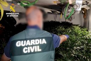 La Guardia Civil desmantela una plantación de marihuana indoor ubicada en un Chalet de Calpe