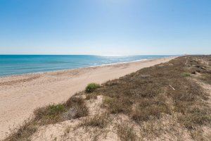 Valencia estudia implantar arrecifes artificiales para evitar la regresión de las playas del sur