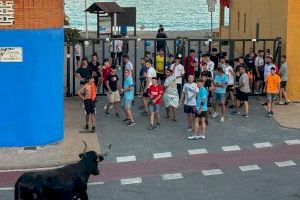 Humor, màgia i bous per a la recta final de les festes de Sant Roc de Nules