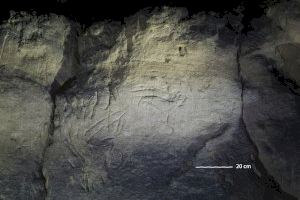 Dos espeleólogos descubren arte rupestre de hace 12.000 años en el yacimiento de la Cueva Negra de Ayora