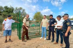 Benicarló instal·larà quatre gàbies-trampa per a controlar la superpoblació de javalins