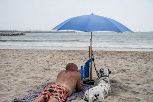 Medi Ambient investiga l’impacte de les onades de calor i l’augment de la temperatura de la mar