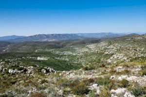 La Diputació de València ajuda els ajuntaments a gestionar parcs naturals municipals i substituir la canya en les riberes dels rius