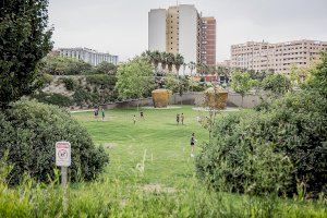 València Capital Verde impulsa la renaturalización urbana con la plantación de 2.000 árboles