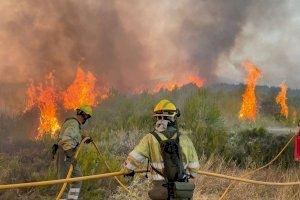 Los alcaldes socialistas del Alto Palancia exigen que se reactive los planes de recuperación de las zonas afectadas por el incendio de Bejís