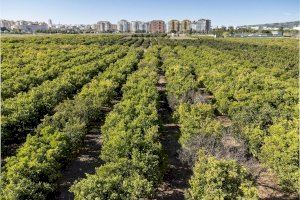 Agricultura fija las nuevas bases para las ayudas a inversiones en modernización de infraestructuras y sistemas de riego de los regantes