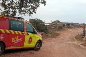 Sigue la búsqueda del toro fugado de Almenara: Los bomberos de Castellón y Valencia se suman al operativo