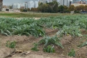 València controla con fibra óptica y sensores el riego de las acequias de la huerta gracias al Proyecto Horta-Tech