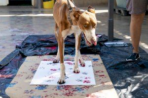 ‘Arte canino’ para el detalle institucional de la 24-25