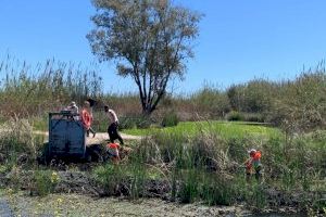 Aumenta el personal de los parques de la Serra d’Irta, el Montgó, el Penyal de Ifac, las Hoces del Cabriel y las islas Columbretes