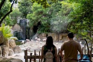 BIOPARC Valencia registra una diferencia de sensación térmica de -5ºC con el centro de la ciudad