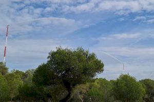 Benidorm dispondrá de una red municipal contraincendios forestales de agua depurada