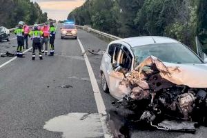 Cada dia es produïxen quatre accidents de trànsit amb animals en la Comunitat Valenciana