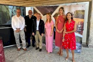 Barrachina: “Desde el Consell apoyamos la candidatura de Requena como Ciudad Europea del Vino para 2025”