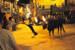 Imagen de archivo de un toro embolado en las fiestas de la Vall d'Alba