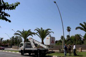 Vila-real completa otra fase del Plan de eficiencia energética con  la instalación de 200 luminarias led en grandes avenidas