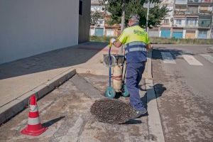 Onda intensifica el control de plagas y registra una caída en las incidencias durante el verano