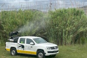 Oropesa lucha y busca erradicar el mosquito tigre: fechas y zonas donde se realizarán fumigaciones