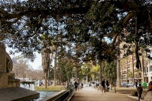 La Regidoria de Parcs i Jardins renova el ferm del Passeig de l'Albereda