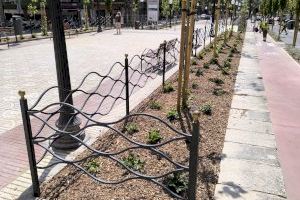 Alicante refuerza la plantación de árboles y arbustos en la avenida General Marvá para mejorar la zonas de sombra