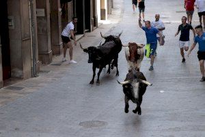 GALERIES | Borriana inicia els actes taurins i viu el concert de Sofia Ellar en la segona jornada de festes