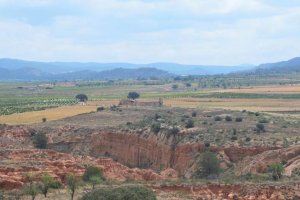 Un pueblo de Valencia guarda secretos neandertales: un tesoro arqueológico de 100.000 años