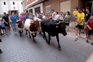 GALERÍA | Burriana celebra la tradicional trashumancia urbana en las Fiestas de la Misericordia