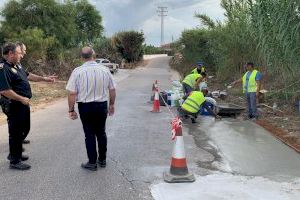 La Regidoria d’Agricultura avalua les tasques del SEPE agrícola durant l’estiu