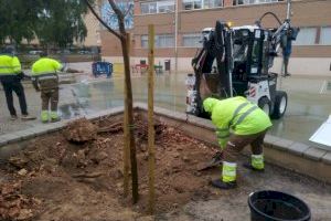 Alicante pone a punto los colegios para el inicio del curso con un plan integral de limpieza y acondicionamiento