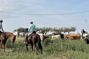 Vall d’Alba despide sus fiestas con gran participación y buen ambiente