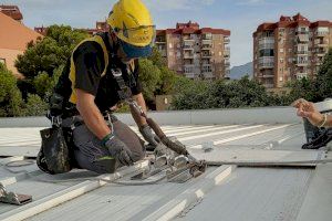 Arrancan las obras en el colegio público Pla Barraques de El Campello con la instalación de vida en la cubierta del comedor