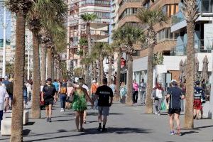 Benidorm vuelve a convocar las ayudas para impulsar nuevos proyectos emprendedores